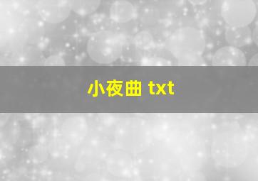 小夜曲 txt